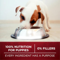 Purina ONE True Instinct with Real Chicken and Duck High Protein Puppy Food Formula Natural with Added Vitamins, Minerals and Nutrients - 7.4 lb. Bag