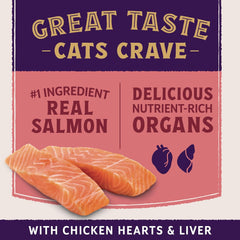 Natural Balance Ultra Protein Plus Dry Cat Food, Skin & Coat and Digestive Health, Real Salmon & Chicken Meal Recipe, 5 lbs.