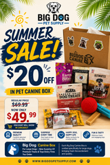 Big Dog Canine Box for Large Dogs – New Surprise of Premium Treats & Toys Every Time You Order