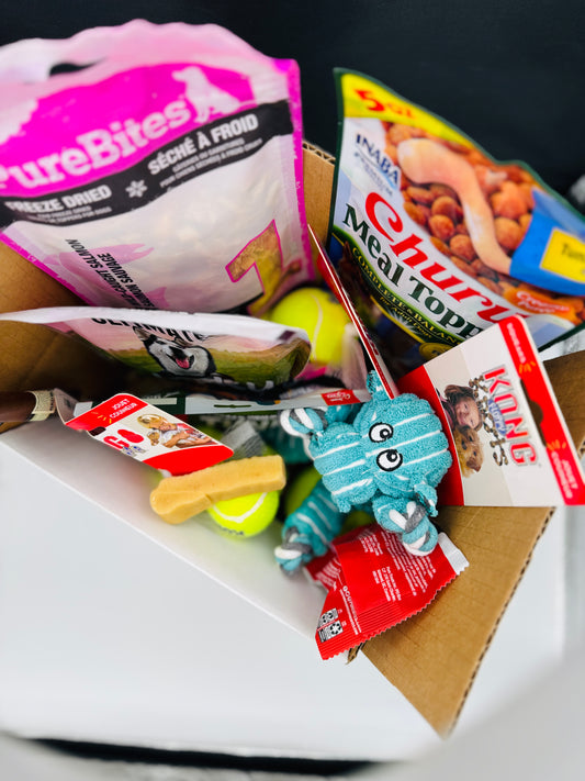 Big Dog Canine Box for Small Dogs – New Surprise of Premium Treats & Toys Every Time You Order