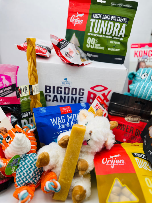 Big Dog Canine Box for Medium Dogs – New Surprise of Premium Treats & Toys Every Time You Order
