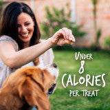 Fruitables Crunchy Baked Dog Treats Pumpkin & Blueberry, 1ea/7 oz