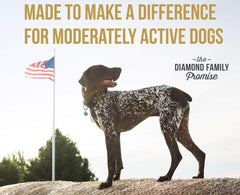 Diamond PREMIUM RECIPE Maintenance Complete and Balanced Dry Dog Food for a Moderately Active Dog, 40lb