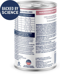 Natural Balance Specialized Nutrition Wet Dog Food, Sensitive Skin & Stomach Formula with Salmon and Brown Rice for Dogs, Natural Ingredients with Added Vitamins & Minerals - 12.7 oz. (Case of 12)