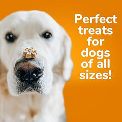 Fruitables Baked Dog Treats Pumpkin & Banana Flavor 7 Oz