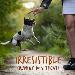 Fruitables Crunchy Sweet Potato & Pecan Dog Treats