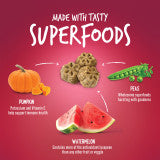 Fruitables Skinny Minis Chewy Watermelon Dog Treats