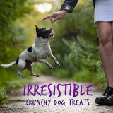 Fruitables Crunchy Baked Dog Treats Pumpkin & Blueberry, 1ea/7 oz