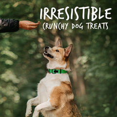 Fruitables Crunchy Baked Dog Treats Pumpkin & Apple, 1ea/7 oz