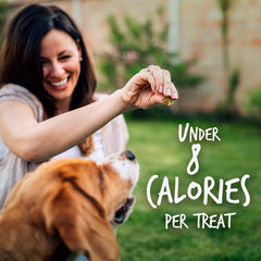 Fruitables Crunchy Baked Dog Treats Pumpkin & Cranberry, 1ea/7 oz