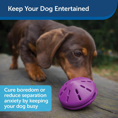 PetSafe® Busy Buddy® Twist 'n Treats™ Dog Toys Small