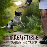 Fruitables Skinny Minis Soft Dog Treats Grilled Bison, 1ea/5 oz