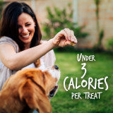 Fruitables Skinny Minis Soft Dog Treats Pumpkin Berry, 1ea/5 oz