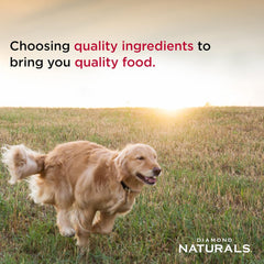 Diamond Naturals Beef Dinner Can Dog 12/13.2oz