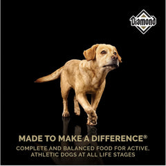 BENEBONE DOG BOUNCE RUBBER BONE MEDIUM