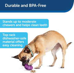 PetSafe® Busy Buddy® Twist 'n Treats™ Dog Toys Small