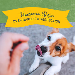 Natural Balance Limited Ingredient Rewards Crunchy Biscuits, Bite-Size Vegetarian Dog Treats for Small-Breed Adult Dogs, Peanut Butter Recipe, 8 Ounce (Pack of 1)