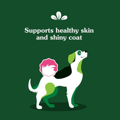Greenies Skin & Coat Supplement Dog 7.27 oz
