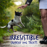 Fruitables Skinny Minis Soft Dog Treats Pumpkin Berry, 1ea/5 oz