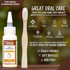 TropiClean Enticers Teeth Cleaning Gel & Toothbrush for S/M Dogs | Peanut Butter & Honey | Bamboo Brush Speeds Up Plaque Removal | Gell Helps Fight Bad Breath | 2 oz
