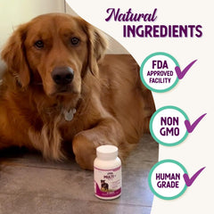 Health Extension Lifetime Multivitamin and Mineral Tablets for Dogs & Puppies, 30 Tablets - Immune, Digestion, Joint Support, Coat & Skin Health