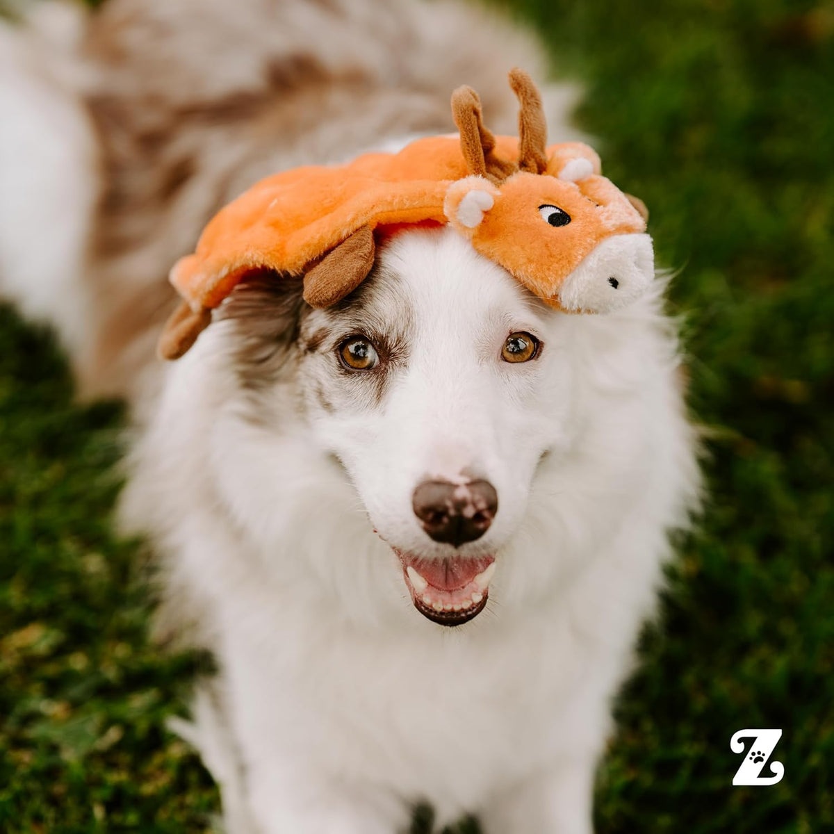 ZippyPaws Squeakie Crawler- No Stuffing Dog Toy to Keep Them Busy, for Small, Medium, & Large Dogs, Squeaky Pet Toy for Boredom, Unstuffed Chew Toy, Soft Plush Puppy Products, Betsey the Ladybug- 10"