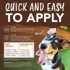 TropiClean Enticers Teeth Cleaning Gel & Toothbrush for S/M Dogs | Peanut Butter & Honey | Bamboo Brush Speeds Up Plaque Removal | Gell Helps Fight Bad Breath | 2 oz