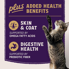 Natural Balance Ultra Protein Plus Wet Cat Food, Skin & Coat and Digestive Health Real Salmon With Pumpkin Puree Topper With Chicken Liver & Chicken Heart, High Protein Cat Food - 2.4 oz. (Pack of 6)