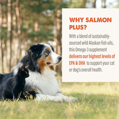 Grizzly Wild Alaskan Salmon Oil Dog Food Supplement Omega 3 Fatty Acids, 32 oz