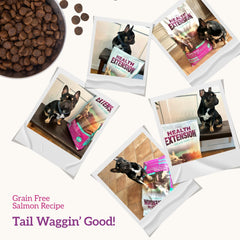 Health Extension Grain Free Venison Dry Dog Food 4 lb