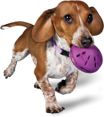 PetSafe® Busy Buddy® Twist 'n Treats™ Dog Toys Small