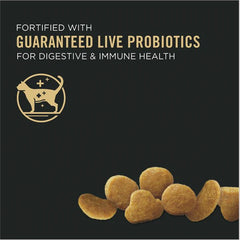 Purina Pro Plan With Probiotics, High Protein Dry Kitten Food, Chicken & Rice Formula