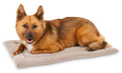 Petmate Aspen Pet Rectangular Kennel Mat