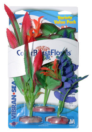Blue Ribbon Pet Products Colorburst Florals Betta Plants Variety Pack