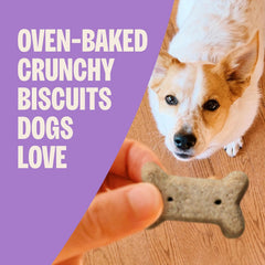 Wellness Old Mother Hubbard Classic Liv'R'Crunch Dog Biscuits, Natural Training Treats, Chicken Liver, Oats, Apple and Carrot Flavor, Mini Size, 20 oz Bag