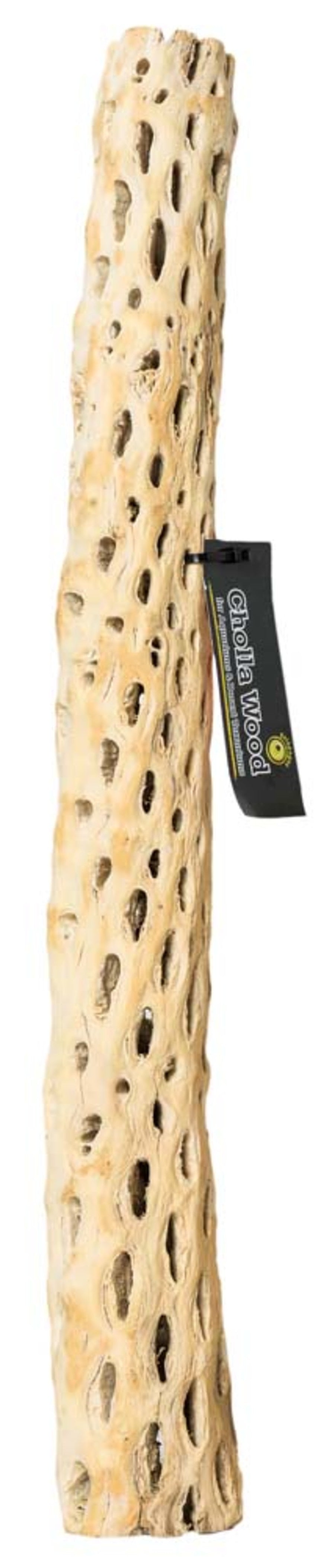 Galápagos (05271) Cholla Wood - Natural Aquarium & Terrarium Decoration for Fish Tanks, Reptile Tanks, and Bird Perches, Natural