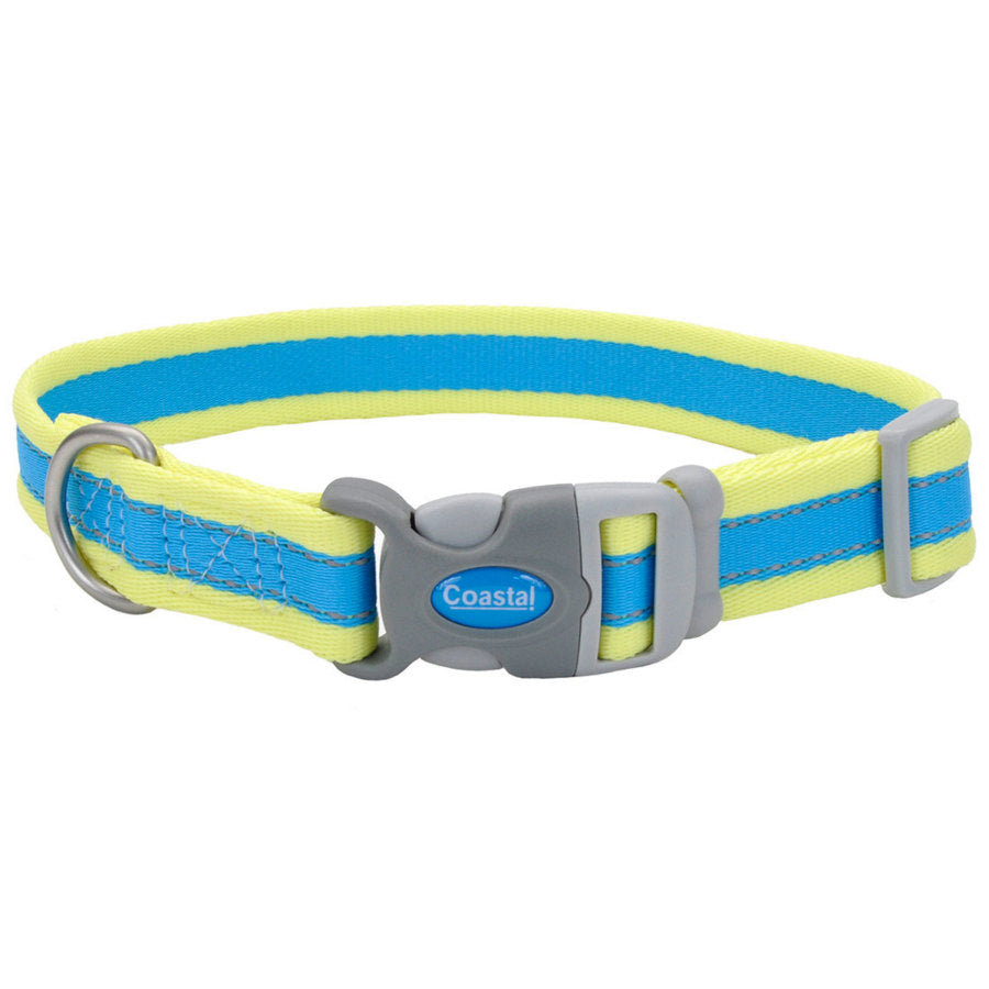 Coastal Pet - Pro - Reflective Adjustable Dog Collar, Aqua with Neon