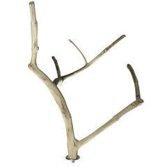 A&E Cage Co. Java Wood Multi Branch Perch