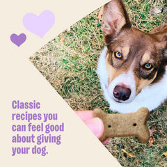 Wellness Old Mother Hubbard Classic Liv'R'Crunch Dog Biscuits, Natural Training Treats, Chicken Liver, Oats, Apple and Carrot Flavor, Mini Size, 20 oz Bag