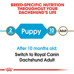 Royal Canin® Breed Health Nutrition® Dachshund Puppy Dry Dog Food, 2.5 lb