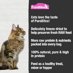 Freeze Dried Cat Treats, Salmon