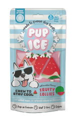 SPOT Pup Ice- Ready to Freeze at Home Dog Treats-Edible Chews for Medium Breed Dogs & Puppies