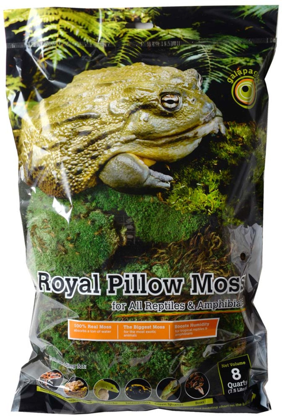 Galápagos (05254) Royal Clumps of Real Pillow, Natural