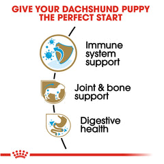 Royal Canin® Breed Health Nutrition® Dachshund Puppy Dry Dog Food, 2.5 lb