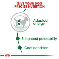 Royal Canin Small Breed Adult Dry Dog Food