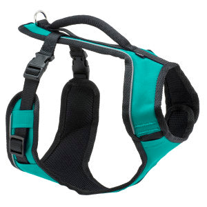 PetSafe EasySport Harness – Padded Straps – Fully Adjustable — Elastic Neckline — Best for Athletic Dogs – Top Handle for Quick Control