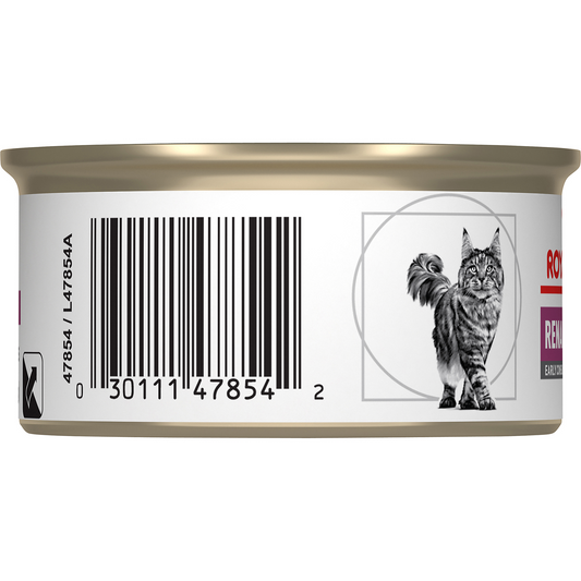 Royal Canin® Feline Renal Support Early Consult Loaf in Sauce Canned Cat Food, 3 oz