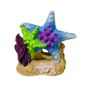 Blue Ribbon Pet Products Sea Star Duo Aquarium Ornament