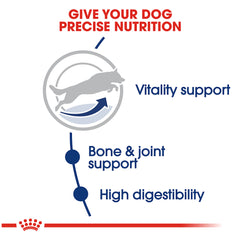 Royal Canin® Size Health Nutrition™ Large Adult 5+ Dry Dog Food, 30 Lb