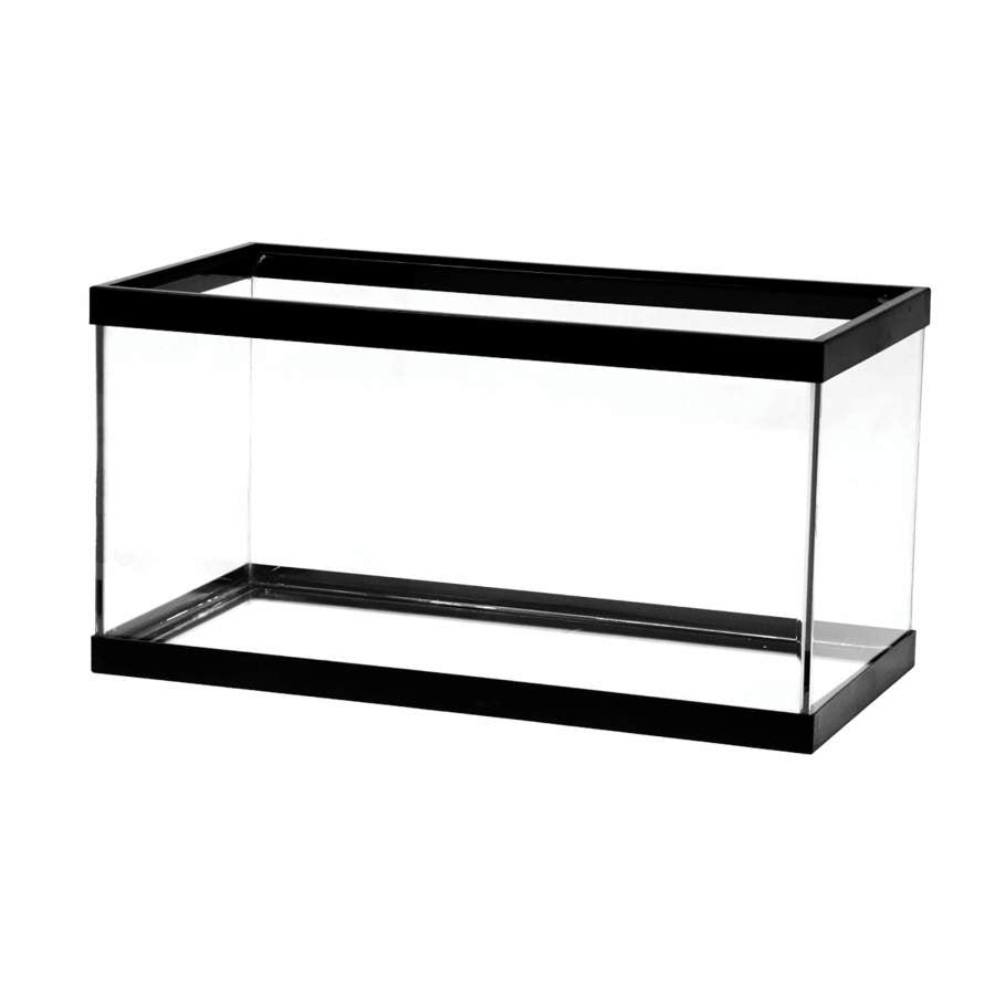 Aqueon Standard Glass Rectangle Aquarium Clear Silicone, Black